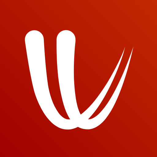 Windy.com_thumb